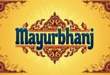 How Mayurbhanj is Shaping Sustainable Farming Practices