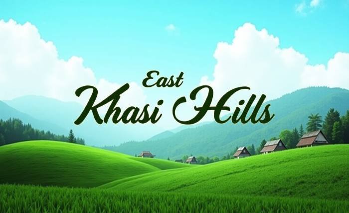 Exploring the Rich Culture of East Khasi Hills: Traditions & Tribes