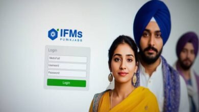 How to Use IFMS Punjab Login for Challan Payments & Treasury Services
